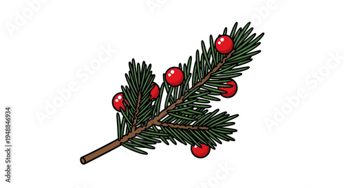 Christmas Tree Branch with Red Berries illustration