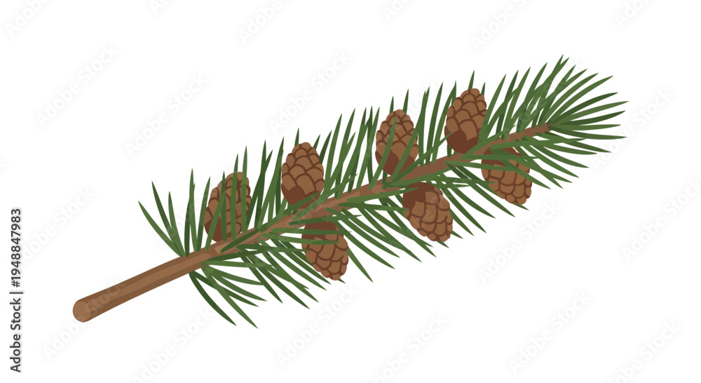 Obraz premium Pine Branch with Cones - Evergreen Tree Sprig Isolated