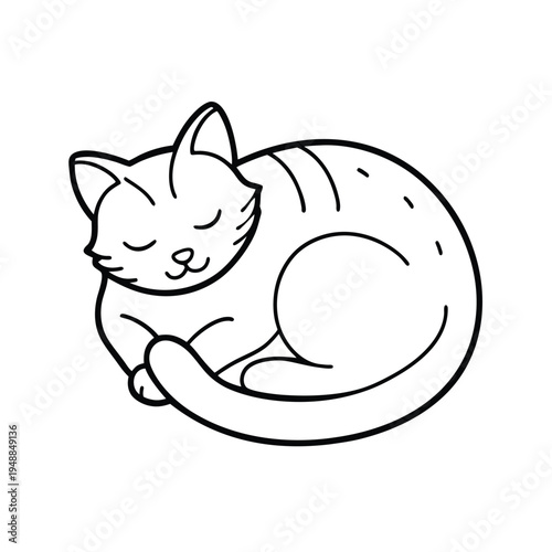 A cute cat curled up sleeping