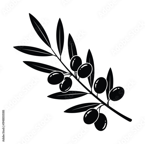 Vector of an olive branch with elongated leaves and ripe olives