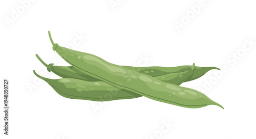 Small pile of fresh green string beans in pod shown in detailed flat vector illustration style for healthy eating and cooking concepts.