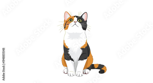 Calico cat with orange black and white fur sitting down and looking up with curiosity against a plain white background area.