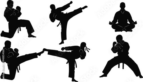Collection of karate martial arts silhouettes with fighters performing kicks, punches, combat stances and meditation pose for sports training design