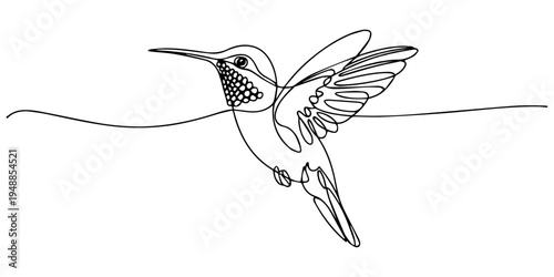 chinned Hummingbird continuous one line drawing, Line art hummingbird continuous line drawing vector illustration minimalist design for wall art and logo design, Humming bird. Abstract flying bird out
