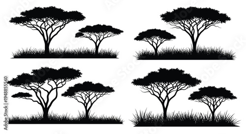 African savanna trees against a bright sky a striking silhouette