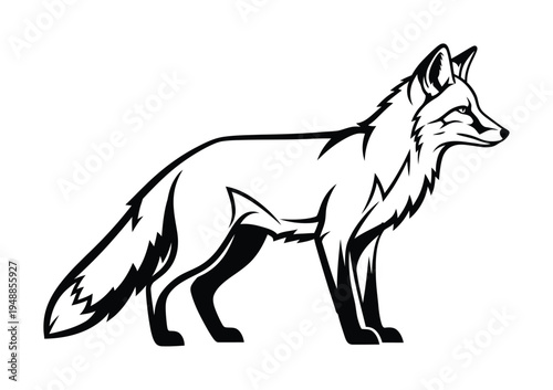 Vector of a fox standing sideways with a long bushy tail and pointy ears