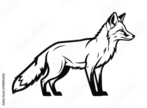 Vector of a sleek and poised fox standing alertly with its long tail extended