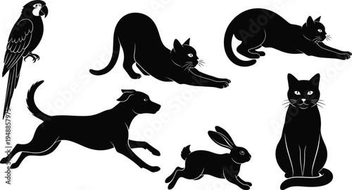 Minimalist pet silhouettes featuring parrot, cats, dog, and rabbit icons for domestic animals, wildlife, companionship, and nature design concepts.