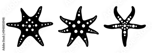 Five-armed starfish set with black silhouette and circular spots featuring starfish, silhouette, minimal black and white design with clean lines and high contrast