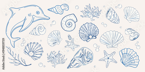 A blue line drawing of a dolphin and various marine life elements