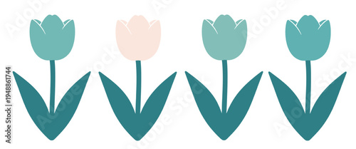 Pink tulip standing out from blue tulips in a row isolated on transparent background