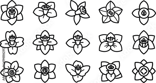 Black and white flower with various petal shapes and center flowers line petals