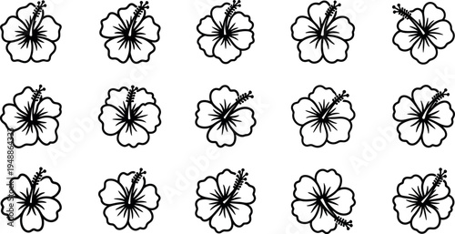 Black and white hibiscus flower flowers floral patterns