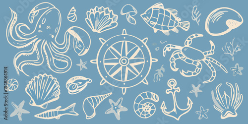 Delicate hand drawn illustration of various marine life and nautical elements