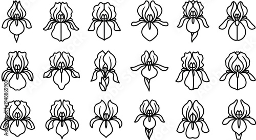 Black and white line of various iris flowers line black and white floral botanical
