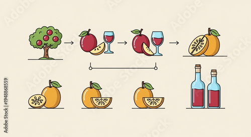 Apple to Wine Process - Illustration of Fruit Transformation.