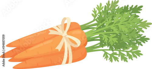 fresh orange carrots bunch with green leaves tied with ribbon, flat vector illustration of organic carrot