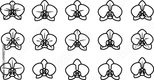 Black line of various orchid flowers line black and white floral 1 botanical