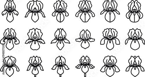 Black line of various orchid flowers line black and white floral 2 botanical