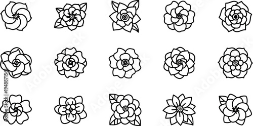 Black line of various succulent plants succulents cacti line black and white