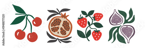 Set of organic fruit illustrations with cherry strawberry pomegranate and fig