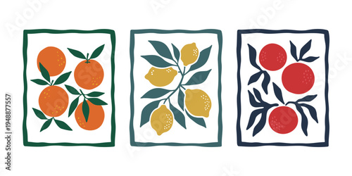 Set of three citrus fruit art prints with orange and lemon branches illustration