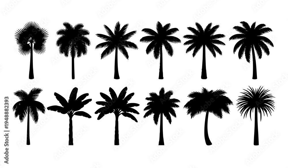 Fototapeta premium Tropical palm tree silhouette set vector collection of exotic botanical trees isolated on white background