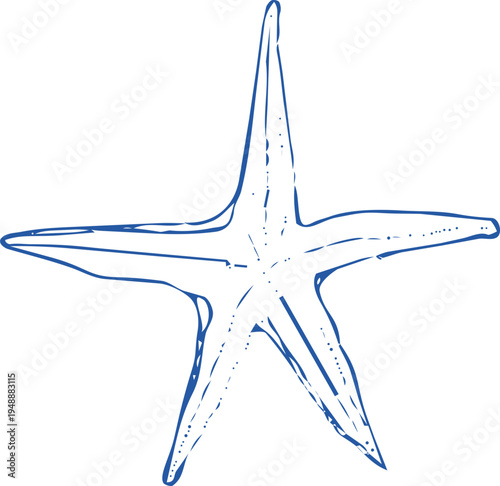 Seashell coastal Sketch hand drawn ink naive marine doodle