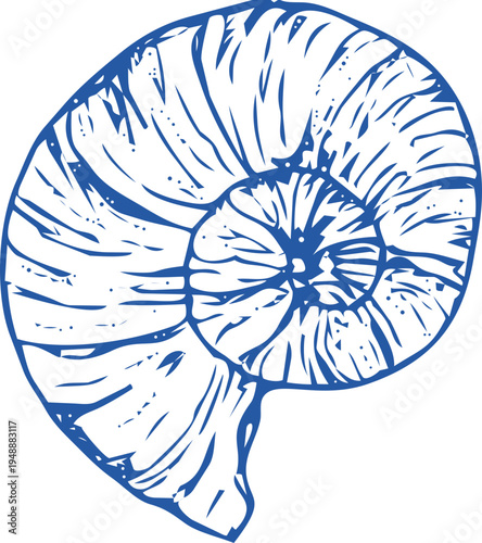 Seashell coastal Sketch hand drawn ink naive marine doodle