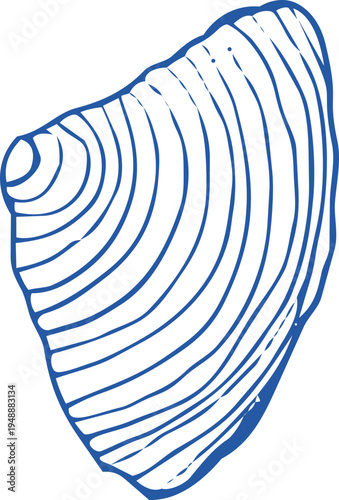 Seashell coastal Sketch hand drawn ink naive marine doodle