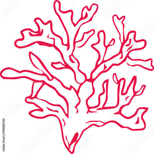 Seashell coastal Sketch hand drawn ink naive marine doodle