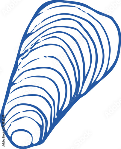 Seashell coastal Sketch hand drawn ink naive marine doodle