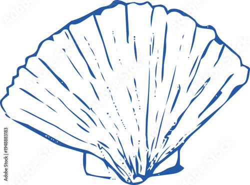 Seashell coastal Sketch hand drawn ink naive marine doodle