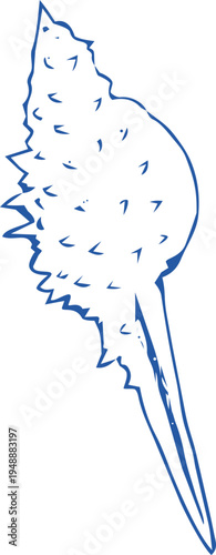 Seashell coastal Sketch hand drawn ink naive marine doodle