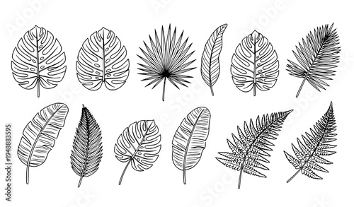 Black and white tropical leaf and fern botanical outline vector illustration set