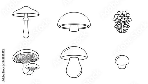 Various types of mushrooms in black and white line art illustration.