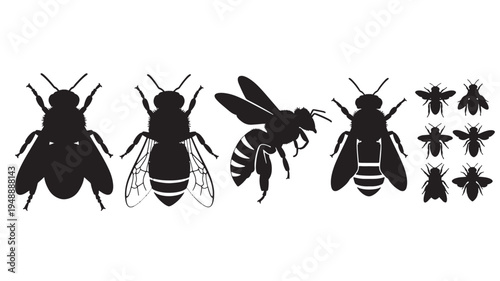 Bees silhouette set with detailed insect wings and striped abdomen, isolated on a white background for graphic design