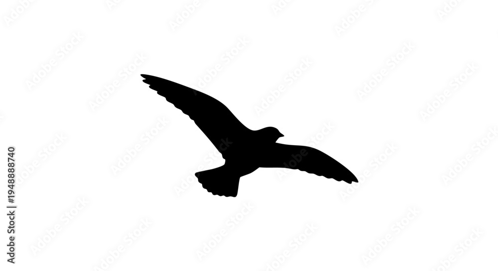 Obraz premium Black seagull silhouette vector, flying bird icon isolated on white background, soaring gull profile for coastal design and nautical branding