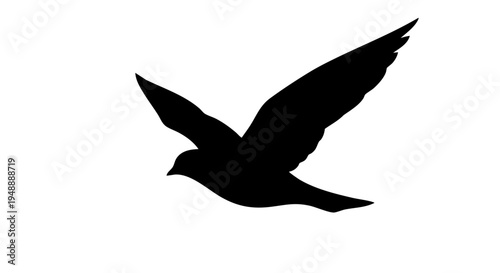 Minimalist bird silhouette in flight, black flying pigeon vector icon, soaring dove shape on white background, elegant avian wildlife graphic