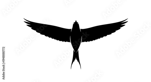 Bird in flight with silhouette vector wings spread wide outdoors
