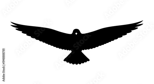 Bird in flight with silhouette vector wings spread wide outdoors