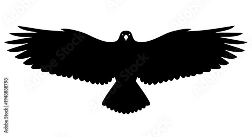 Bird spreads wings in flight silhouette vector graphic illustration