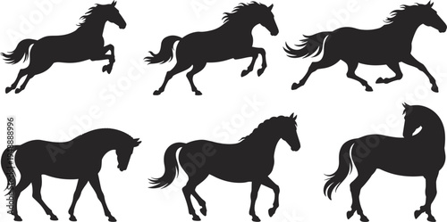 Horse silhouette set in different poses vector illustration, running and standing equine collection isolated on white background for ranch, farm, logo design