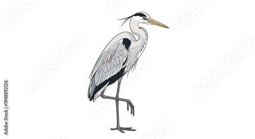 Elegant grey heron, standing gracefully on one leg with its distinctive long neck and sharp beak, poised in a tranquil and watchful stance.