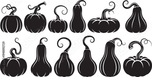 Black Silhouette Pumpkins and Gourds Vector Illustration Set