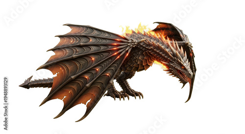 Dragon Detailed Illustration of a Fantasy Creature