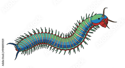 Long and segmented centipede, featuring numerous legs and a strikingly colorful body, crawling purposefully against a clear white background.
