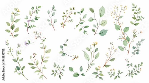 Soft botanical illustration of floral lines perfect for invitations and feminine design themes