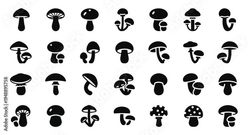 Black  White Glyph Icons of Various Mushroom Types