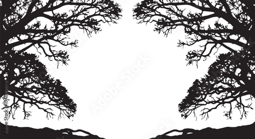 Set of 2 tree silhouettes vector, black trees on white background